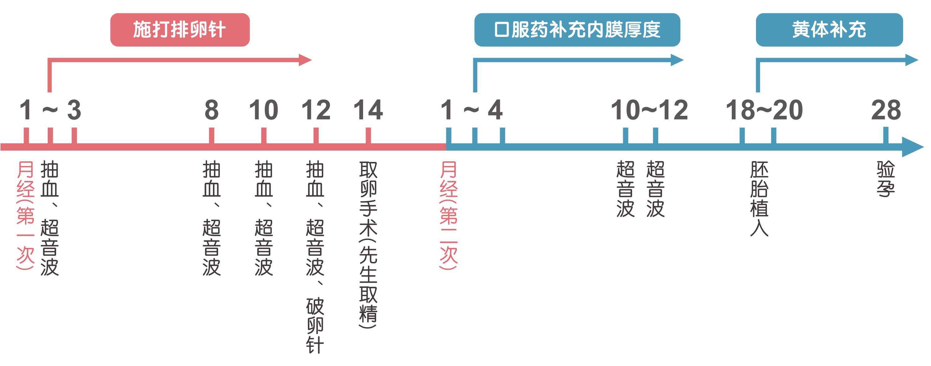 借卵-试管婴儿流程-安安试管婴儿中心,不孕症,试管婴儿,人工受孕,冷冻卵子
